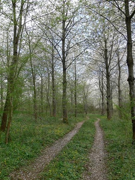 Mont Saint Michel 2010 - 112.jpg